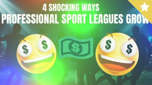 professional sport leagues