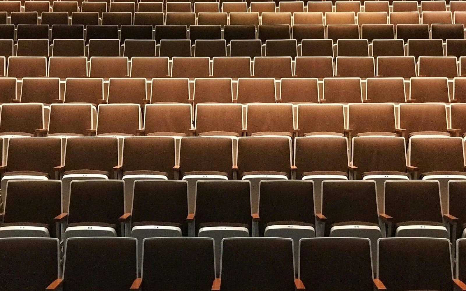 Rows of empty theater seats in a dimly lit auditorium, waiting patiently for the magic about The Show to unfold.