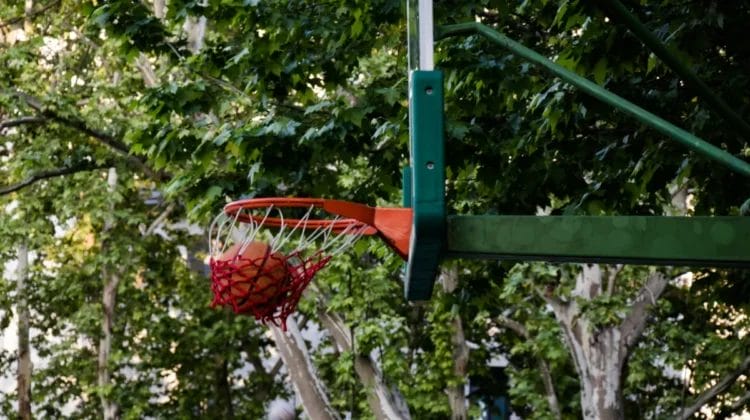 A basketball passes through an outdoor hoop with a red net, set against a backdrop of leafy green trees. The backboard and pole are green, blending with the natural surroundings. The scene suggests a park or playground on a bright day.